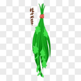 cute hand drawn sticker element